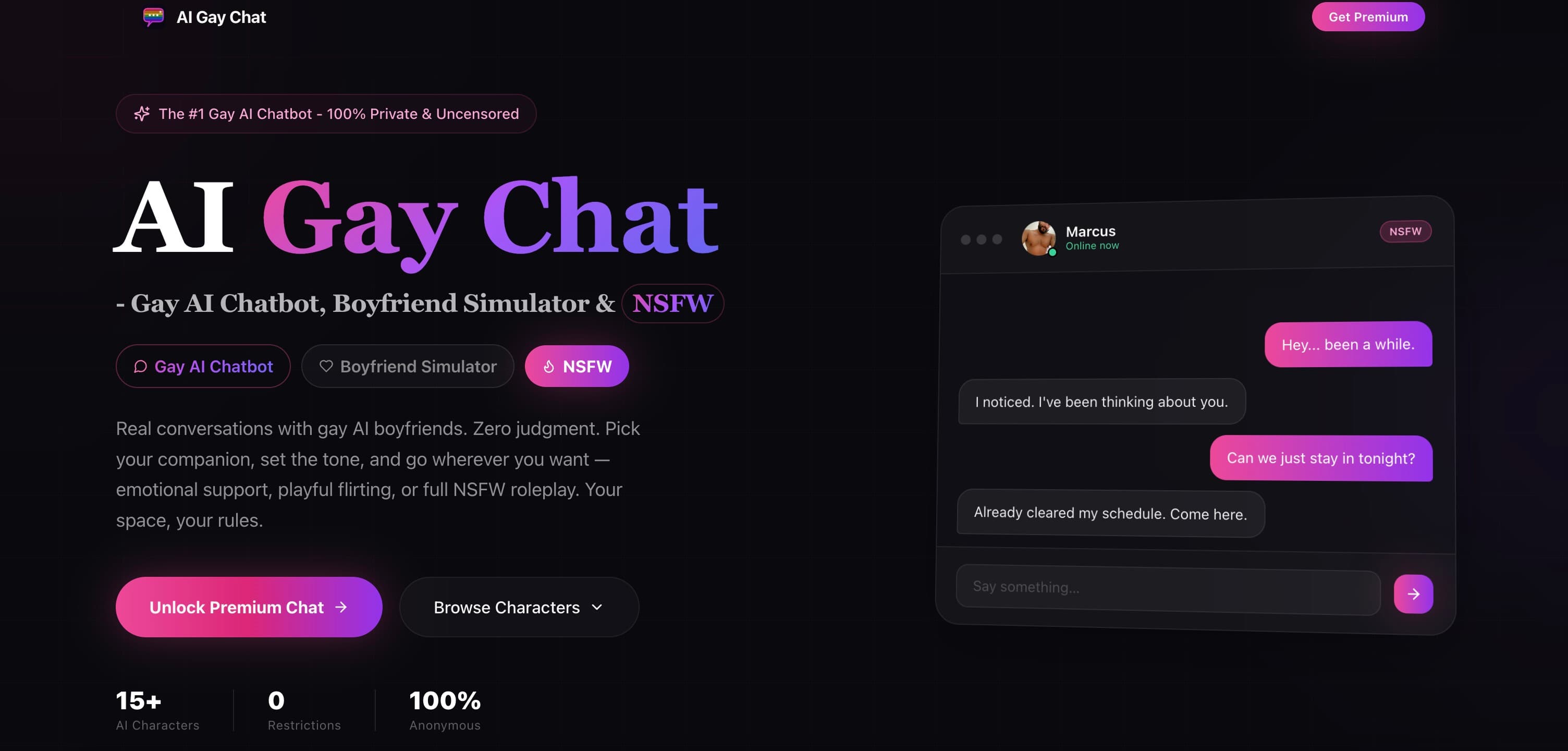 AI Gay interface screenshot